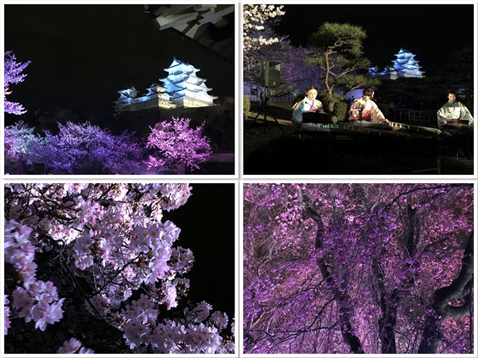 夜桜会2