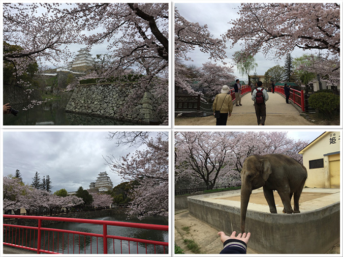 動物園