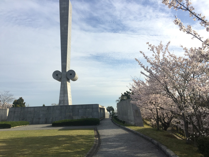 今日の姫路城手柄山の桜満開_4515
