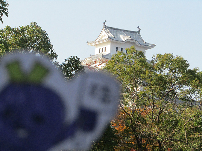 姫路図書館工事8