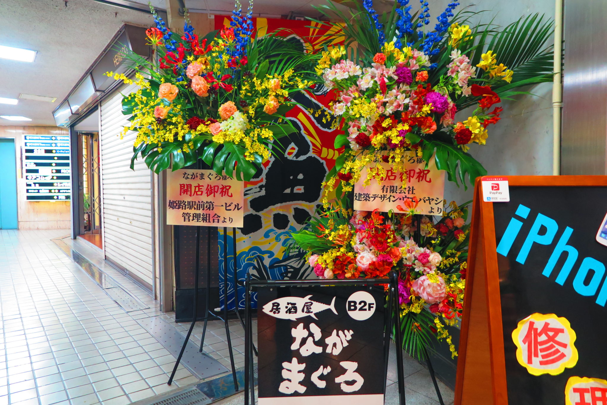 居酒屋ながまぐろが姫路駅前第一ビル地下にオープンしている ５月３０日 姫路の種