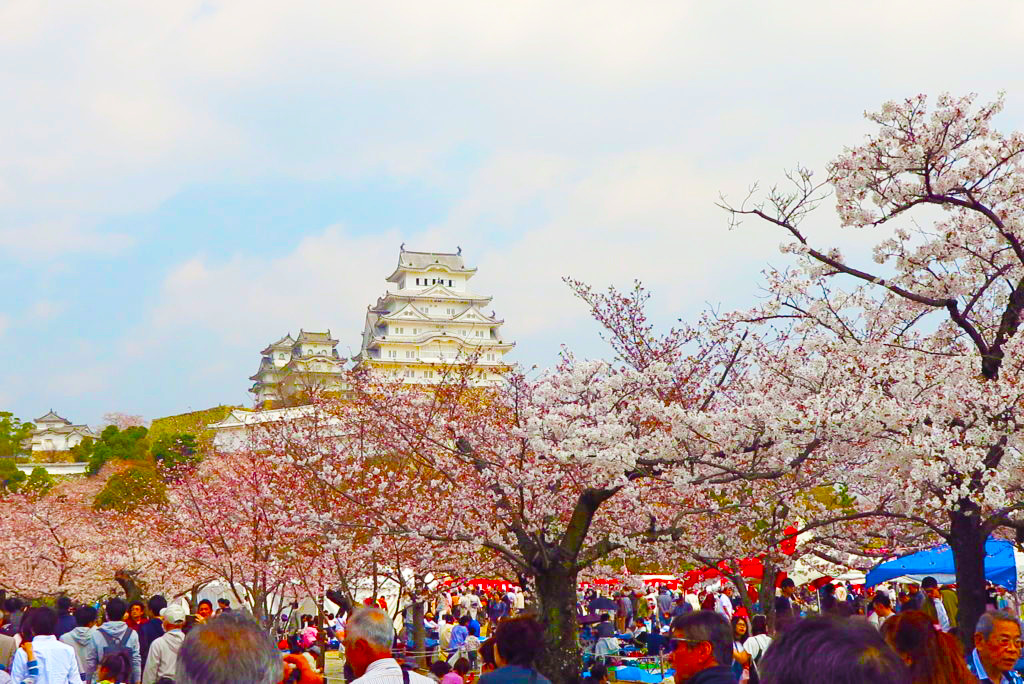 今年の観桜会はオンラインでやるみたい 姫路の種