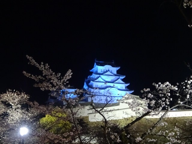 昨日からはじまった姫路城夜桜会 プロジェクションマッピングすげえ 姫路の種写真部 姫路の種
