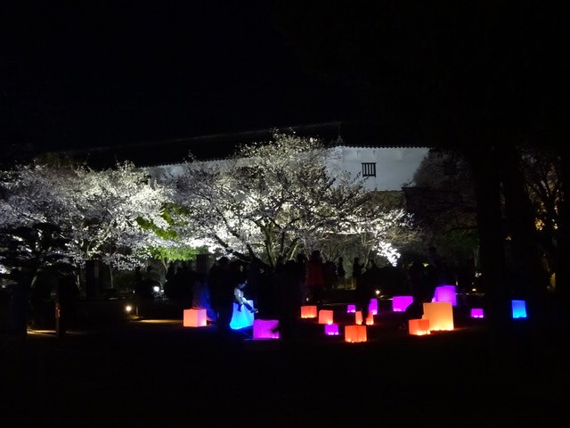 昨日からはじまった姫路城夜桜会 プロジェクションマッピングすげえ 姫路の種写真部 姫路の種
