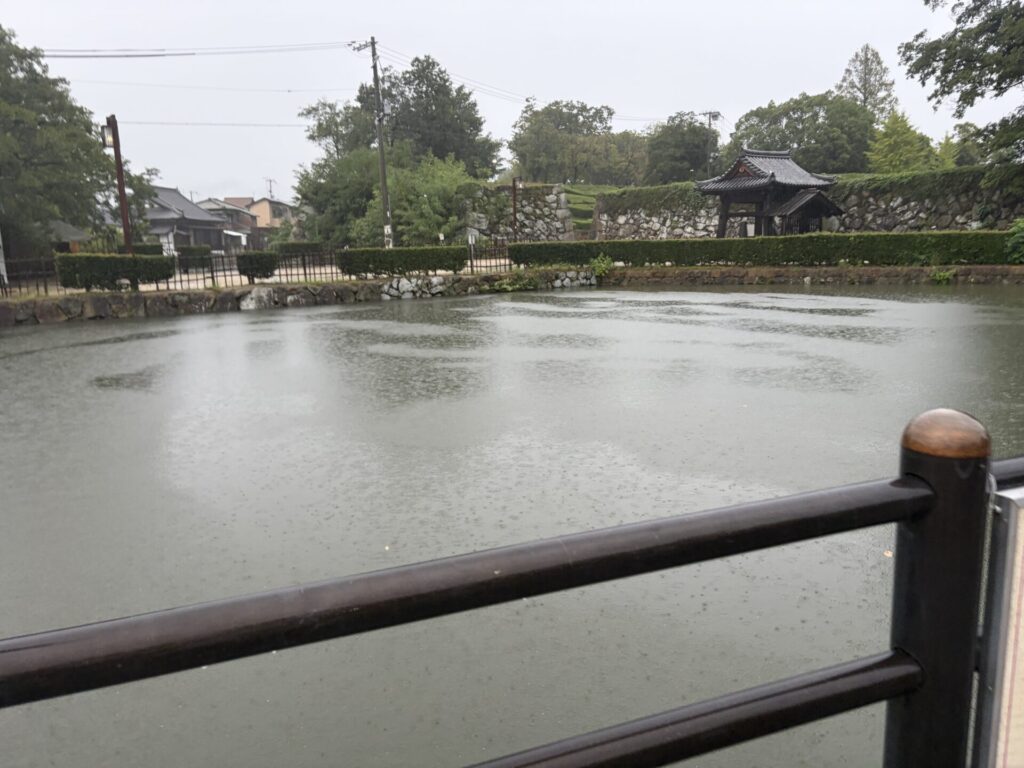 雨が降る西中濠