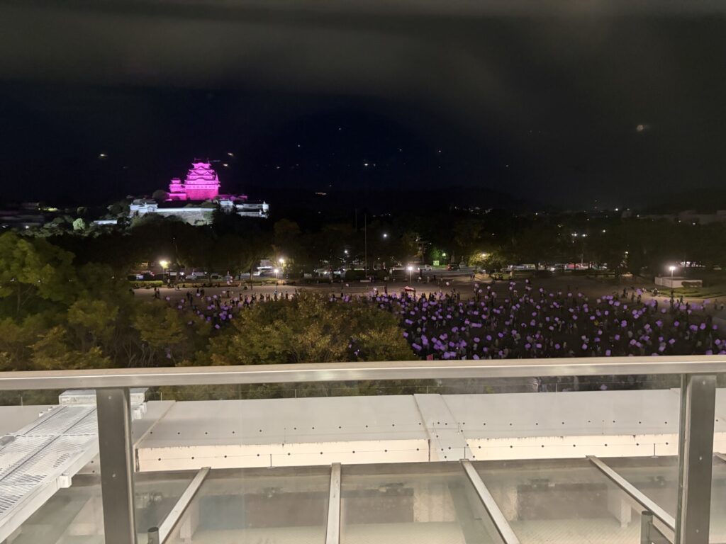 上から見たピンクの姫路城とランタンの光