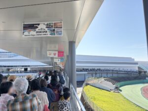 大相撲姫路場所の現地写真